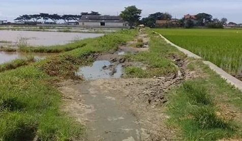 Jalan Poros Kampung Babadan Desa Puji Butuh Perbaikan