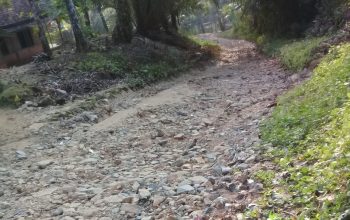 Jalan Milik Pemkab Pandeglang di Desa Cikadongdong Dikeluhkan Warga