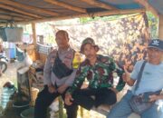 WhatsApp Image 2024-08-06 at 16.49.33