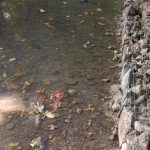 WhatsApp Image 2025-10-14 at 11.28.17