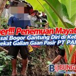 IMG-20260612-WA0186